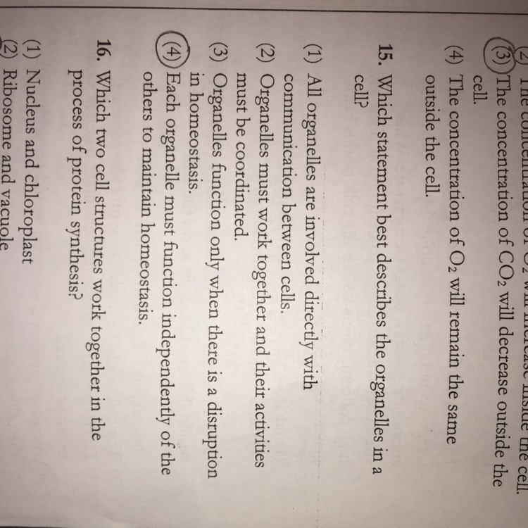 What’s the correct answer to number 15 ? Explain why please !!-example-1