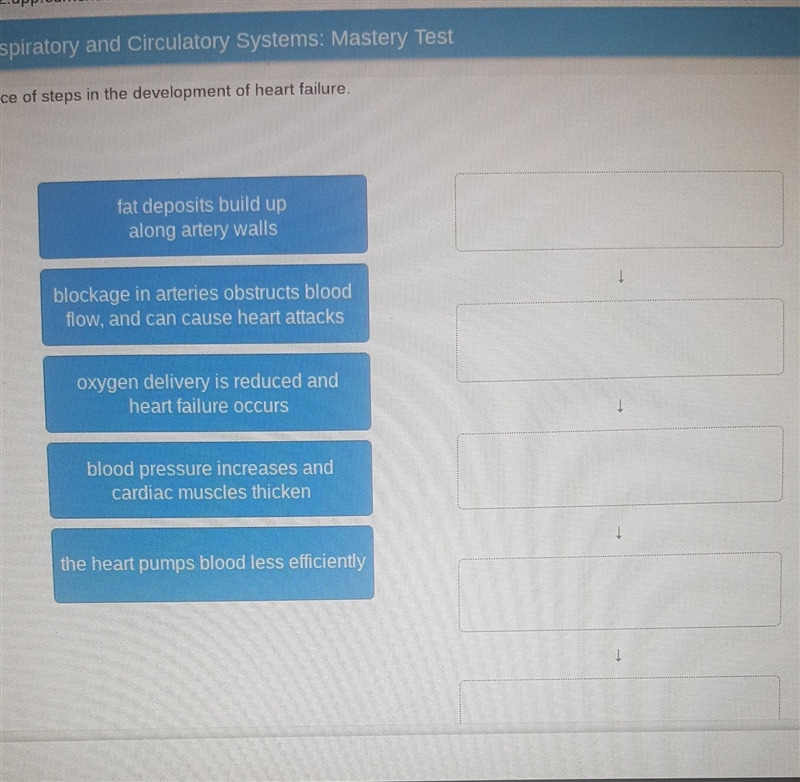 Arrange the sequence of steps in the development of heart failure?-example-1