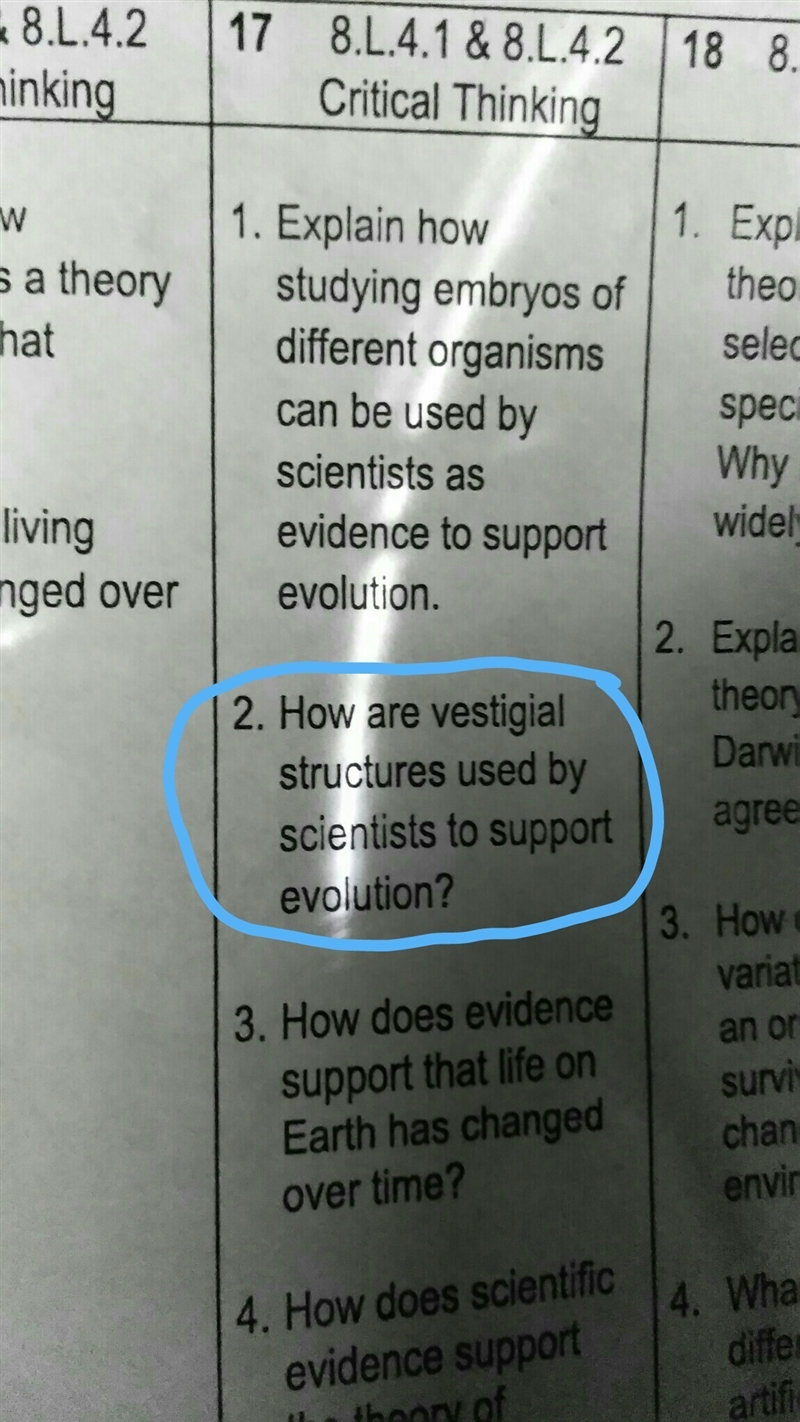 How do they support evolution-example-1