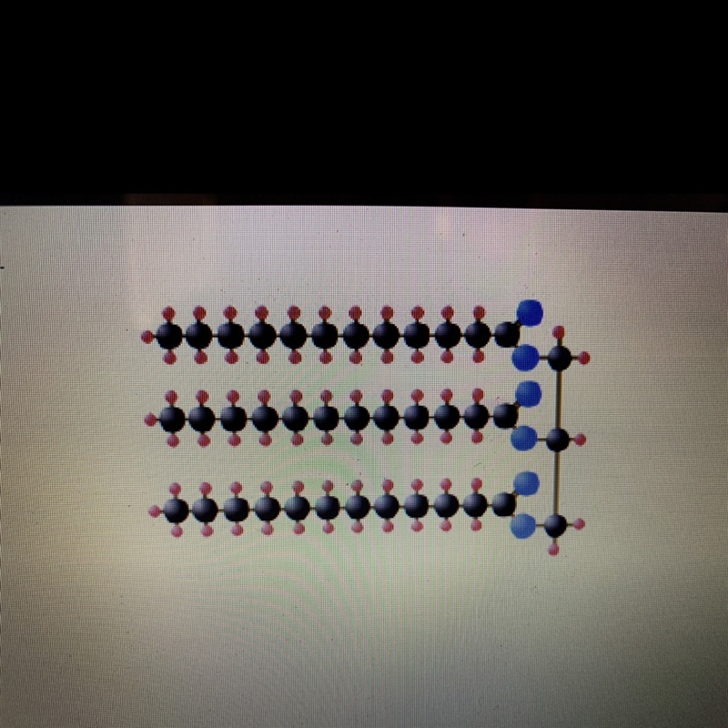 The diagram shows a type of lipid Which lipid is shown? A) a saturated phospholipid-example-1