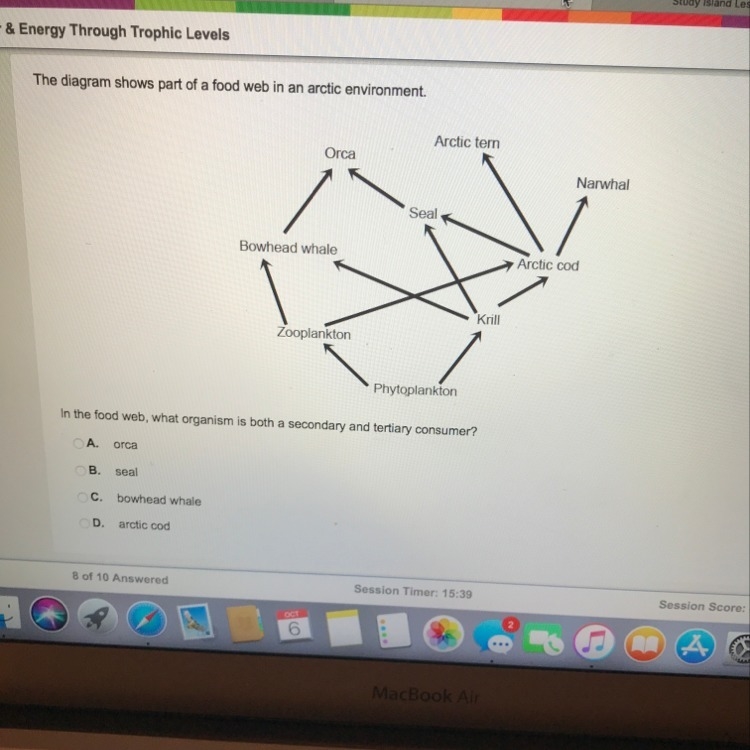 What organism is both secondary and tertiary consumer? A. Orca B. Seal C. Bowhead-example-1