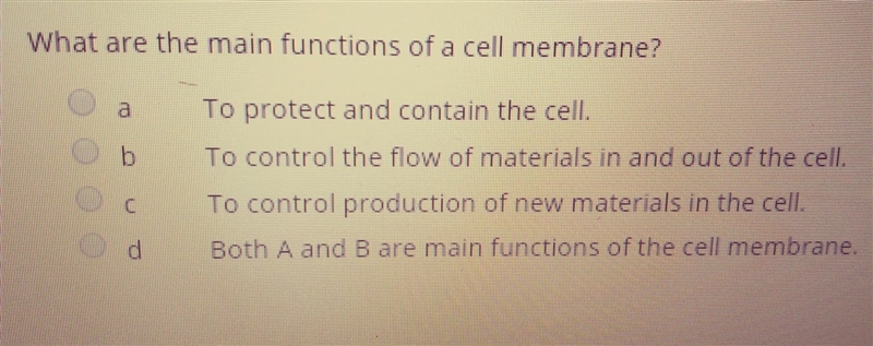 What are the main functions of a cell membrane-example-1