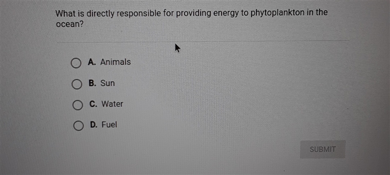 What is directly responsible for providing energy to phytoplankton in the ocean?-example-1