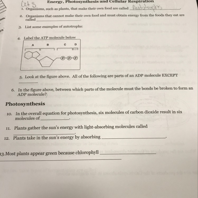 Someone help me please-example-1