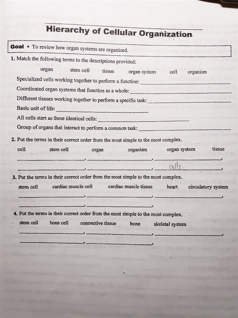 Hlep me please ! how to do questions 2-4-example-1