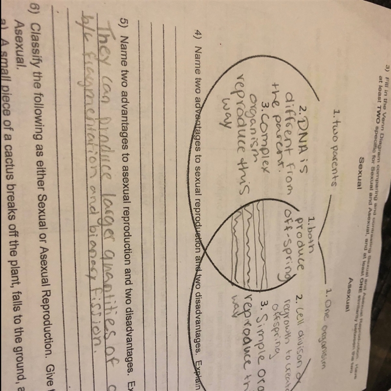 Can you help me name two advantages and disadvantages for asexual reproduction. And-example-1