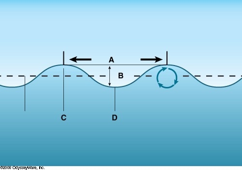 Letter D represents a wave's _____. A)crest B)trough C)wave height D)wavelength-example-1