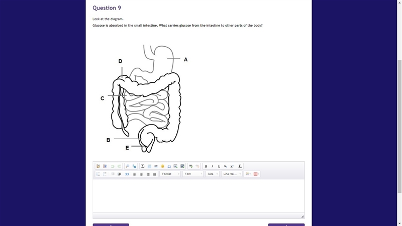 What is the answer? Thank you-example-1