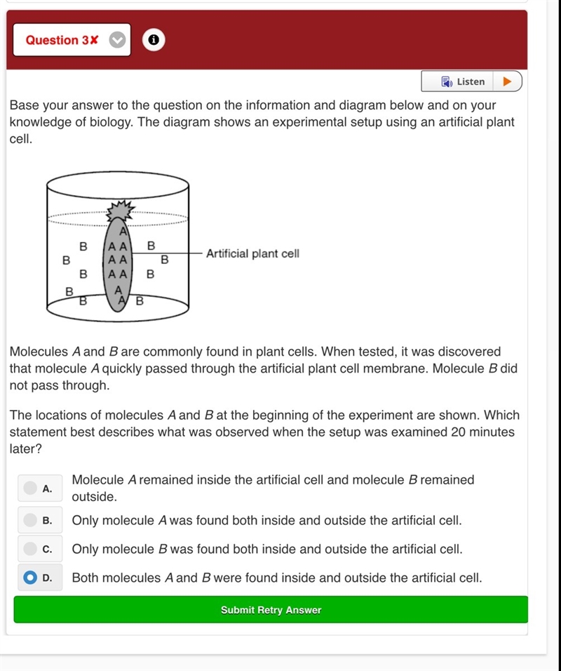 Could someone explain the answer? GIVING 12 POINTS-example-1