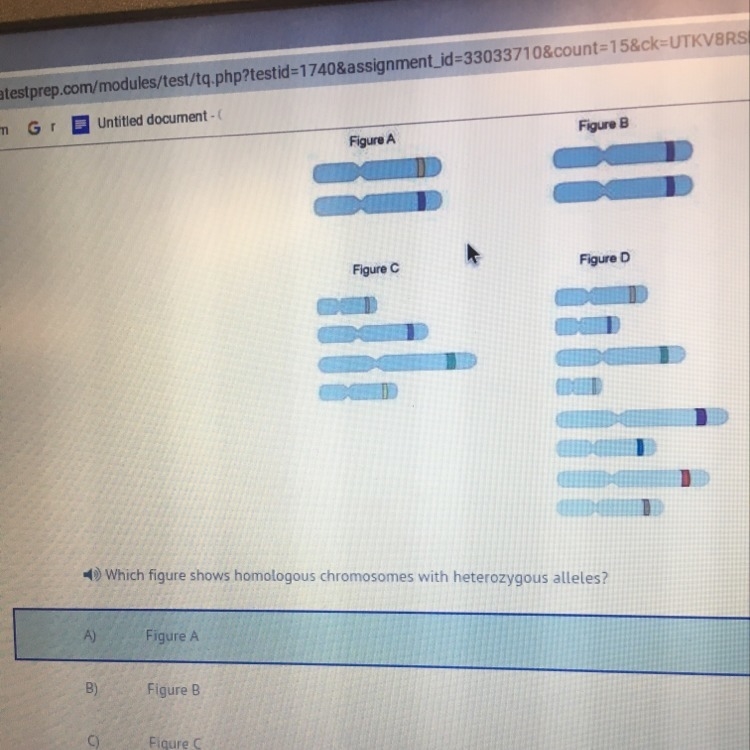 Which figure shows homologous chromosomes with heterozygous alleles?-example-1