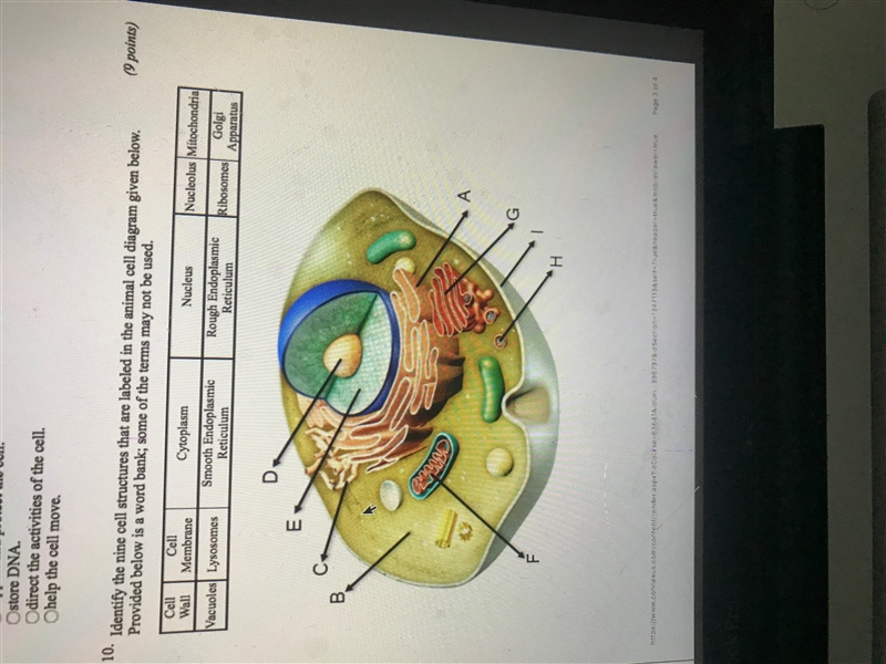 Identify the nine cell structures that are labeled in the animal cell diagram given-example-1