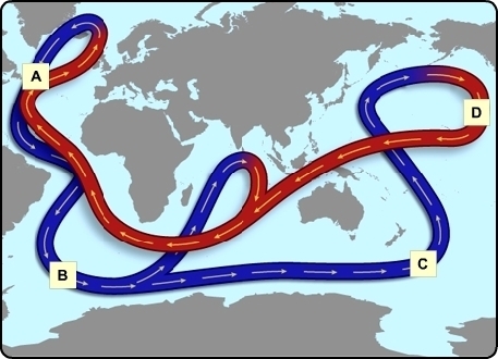 Regarding the area labeled B, which best describes the characteristics of the ocean-example-1