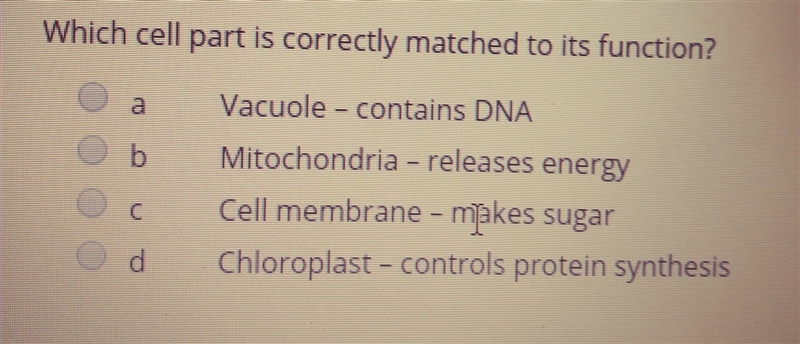 Which cell part is correctly matched to its function-example-1