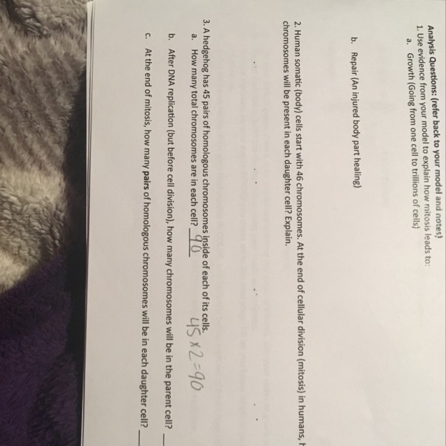 I need help from 2 and 3 and is 3 even correct?-example-1