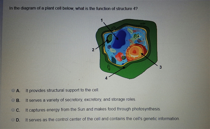 In the diagram below, what is the function of structure 4?-example-1