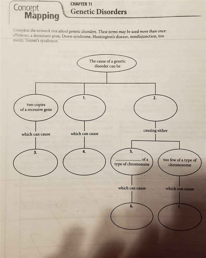 Please help me with this chart-example-1