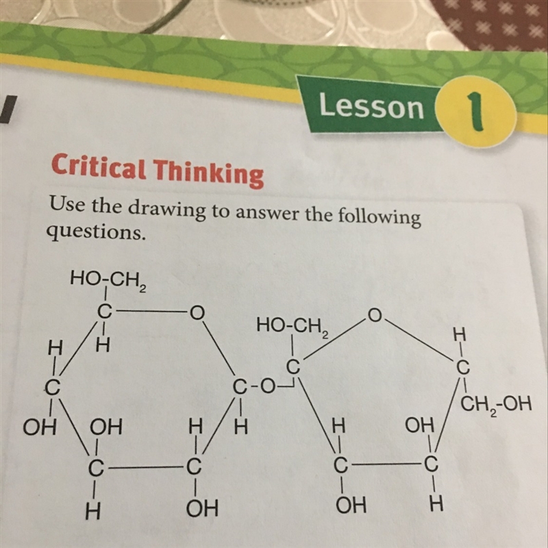 What type of organic molecule do you think is shown in the diagram above? Explain-example-1