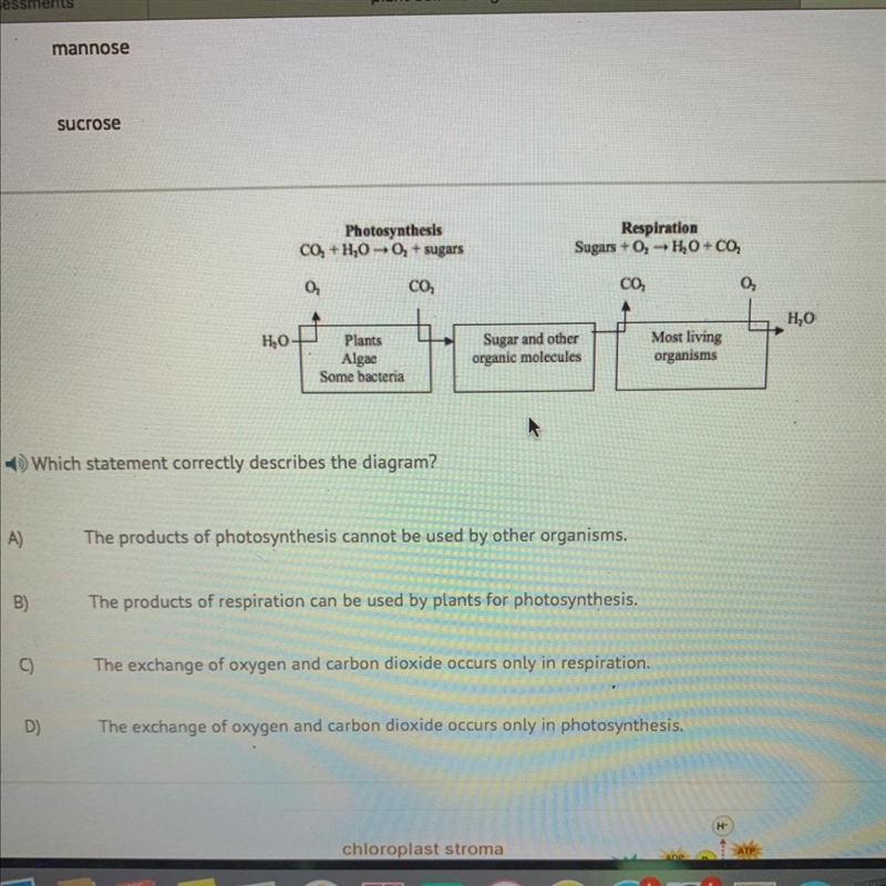 What statement correct describes the diagram-example-1