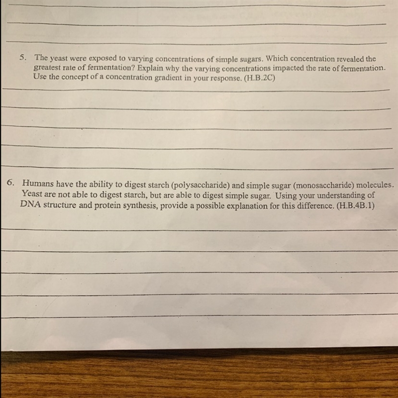 Why are yeast able to digest simple sugars-example-1