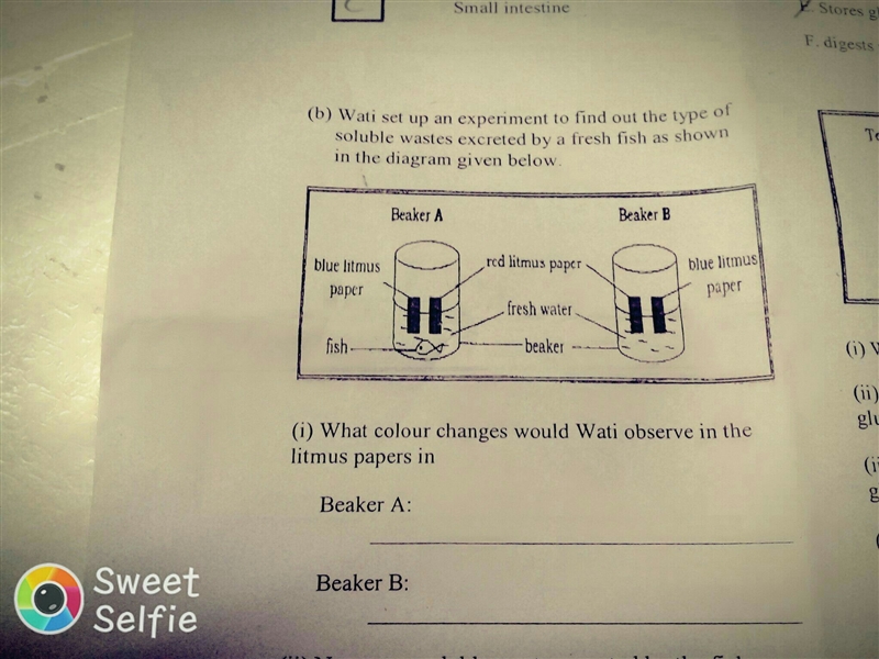 Answer for beaker A and B-example-1