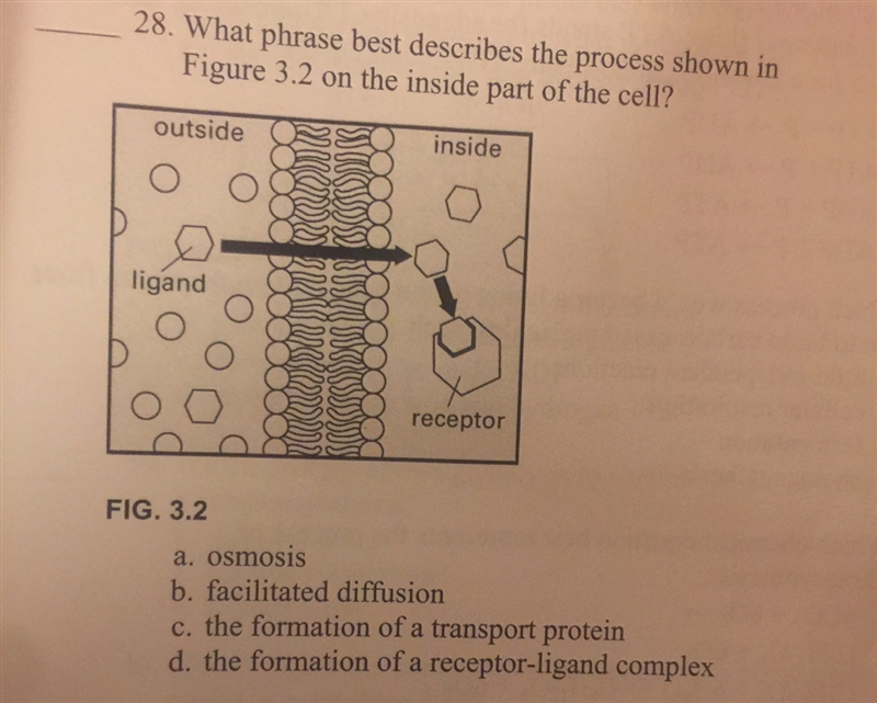 Help please ? What phrase best describe the process shown . Biology-example-1