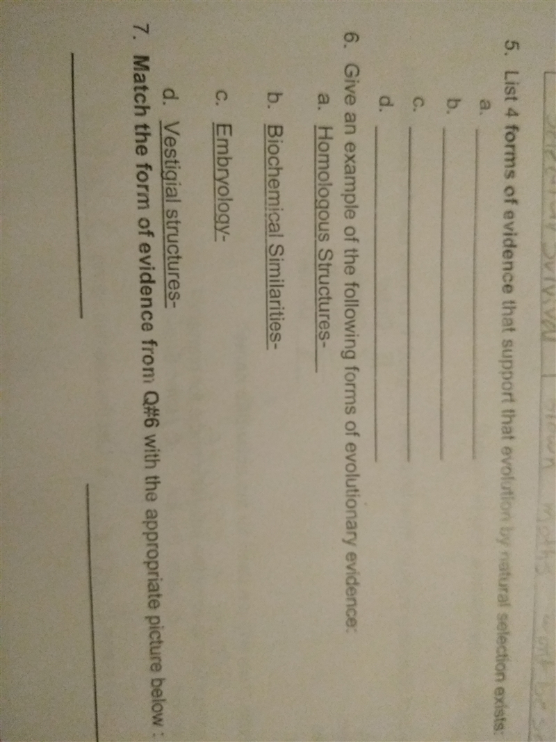 Can you please help me on my biology homework-example-1