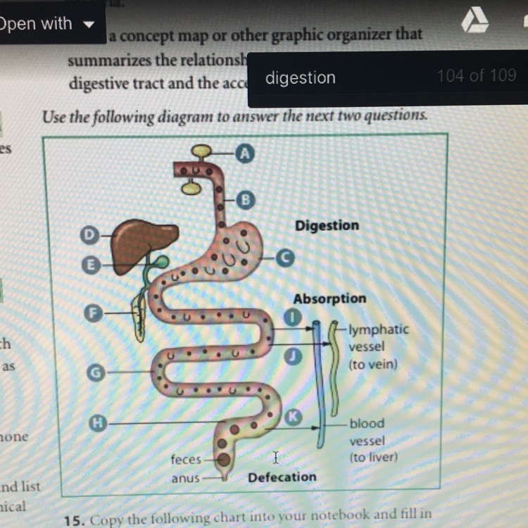 Identify the substances on the diagram indicated by the arrows labeled: i, j, and-example-1