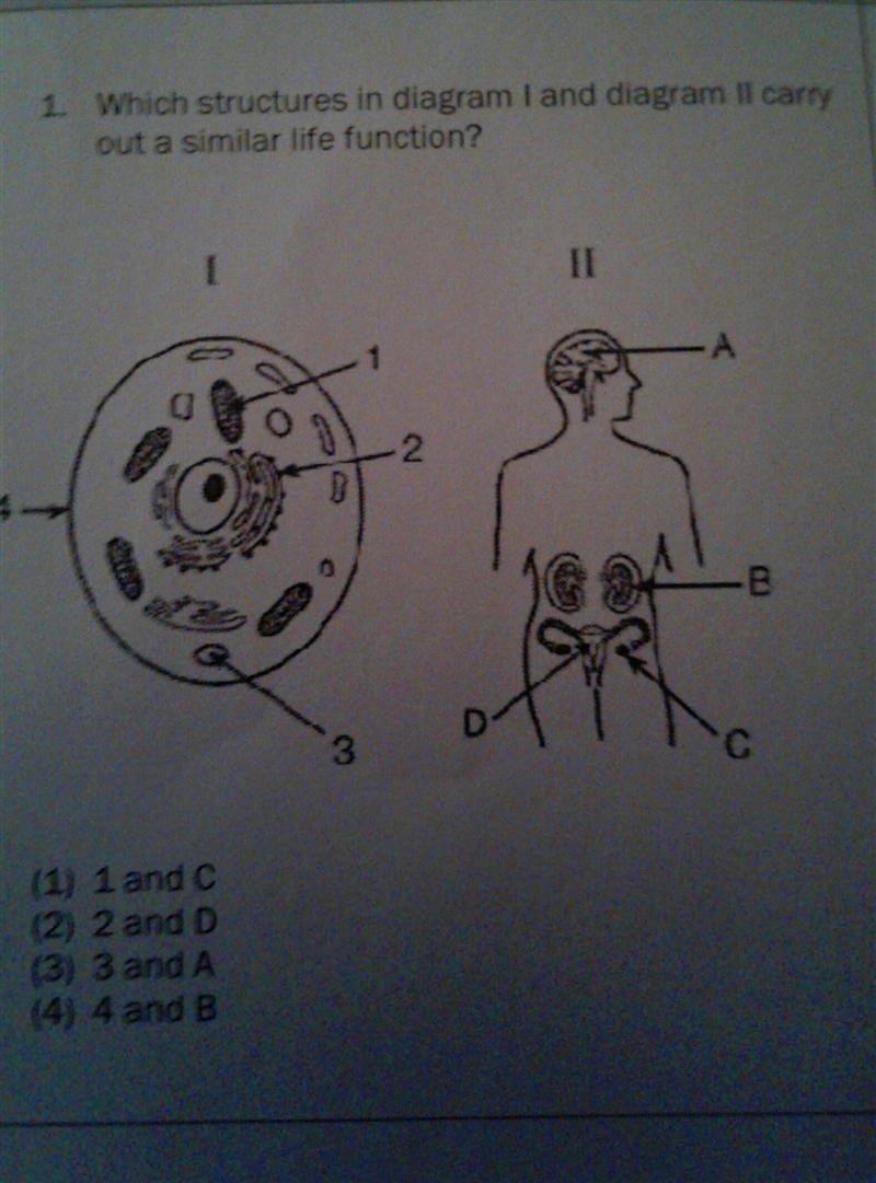 I need to figure out the answer-example-1