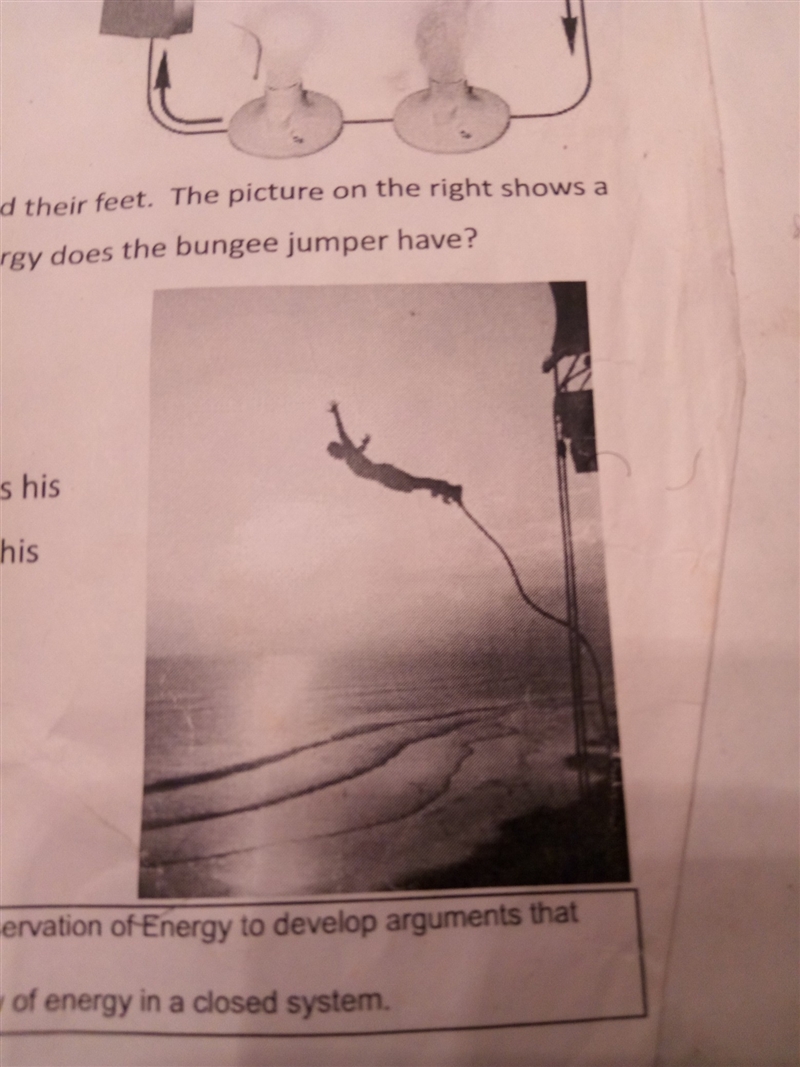 as the jumper falls the bungee cord stretches when the jumper reaches his lowest point-example-1