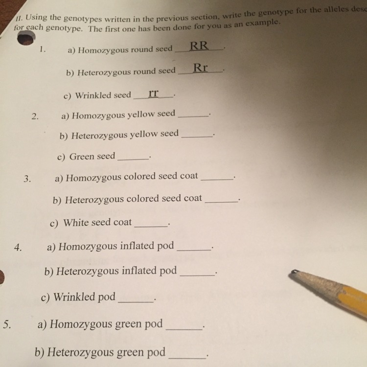 Homozygous and Heterozygous-example-1