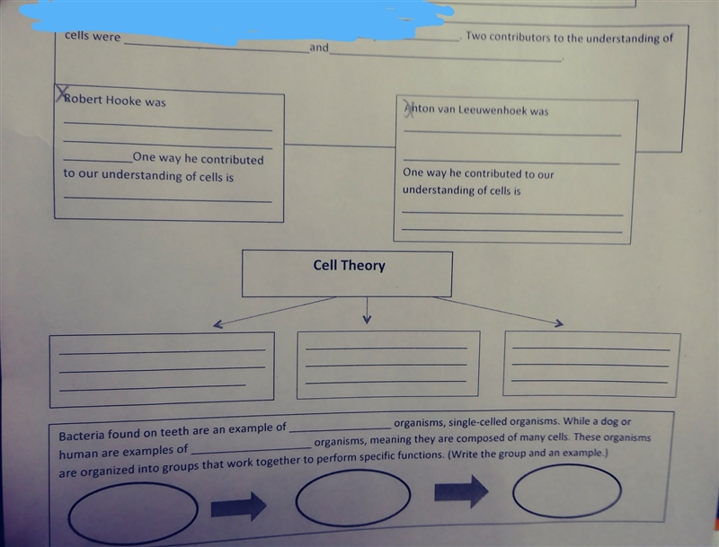 What two contributors helps with the understand of cells? Please help!!!#URGENT-example-1