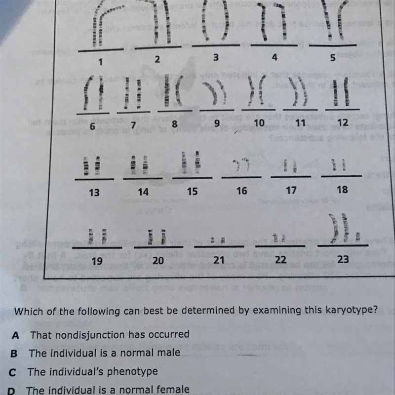 A human karyotype is shown in the diagram below. Please helo-example-1