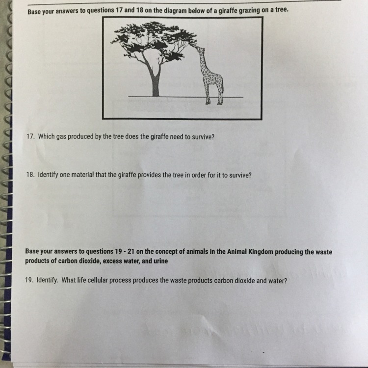 Please I need help with question 17 and 18 and it’s very hard and I’m struggling with-example-1