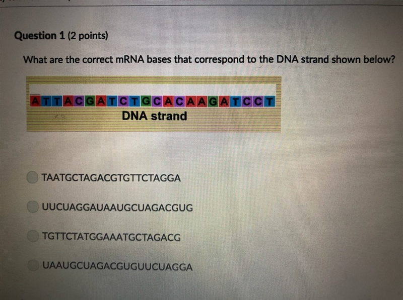 What are the correct mRNA bases that correspond to the DNA strand shown below ?-example-1