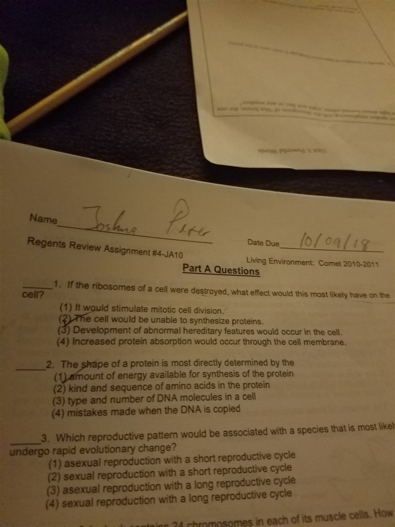 If the ribosomes of a cell were destroyed, what effect would this most likely have-example-1