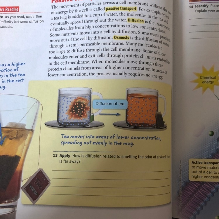 Help 33 points plz help-example-1