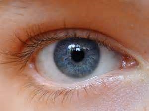 Your eyes. They are made of many different parts. Each part has a special job in helping-example-1