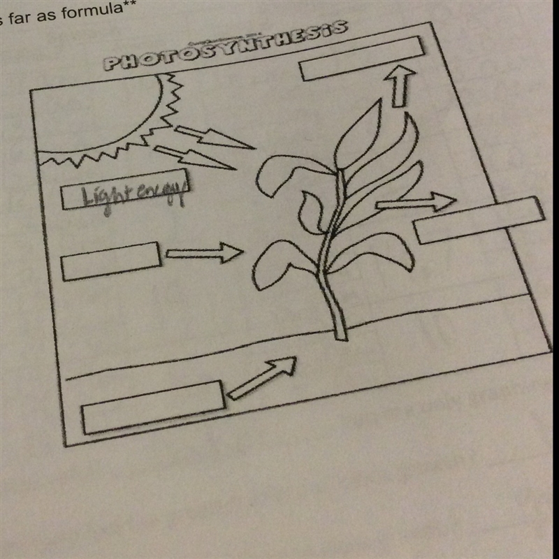 I’m so confused. Could someone explain this to me?-example-1