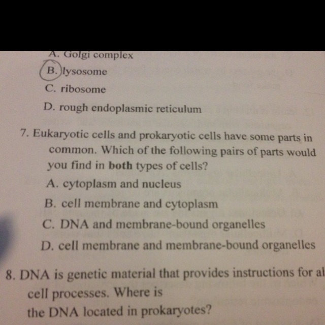 Number 7 Its about cells-example-1