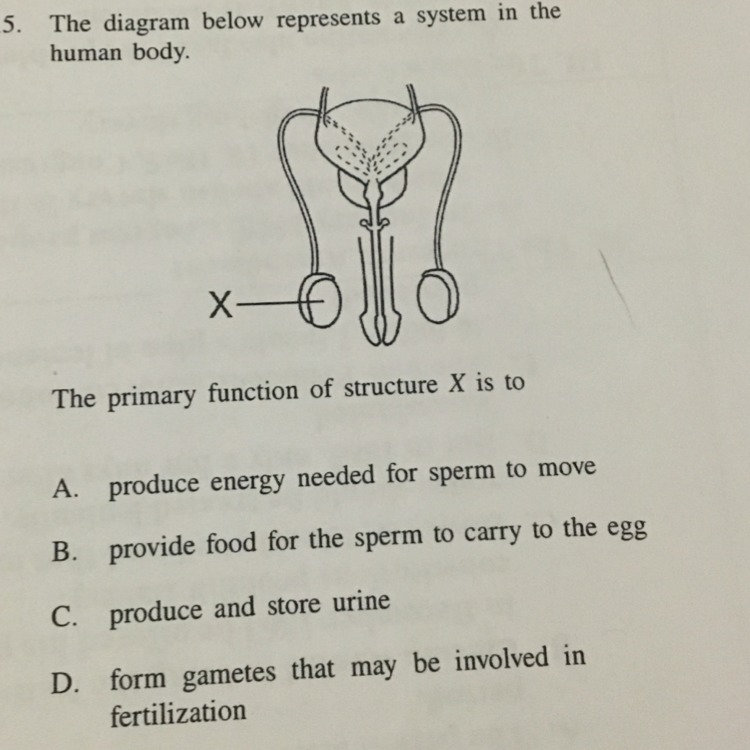 Does anyone know the answer?-example-1