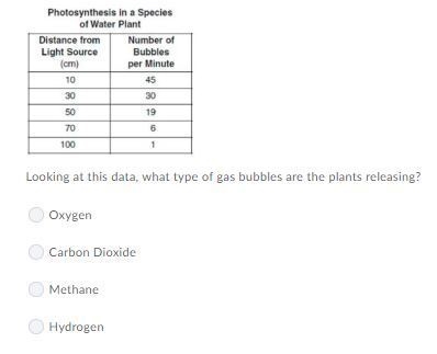 Looking at this data, what type of gas bubbles are the plants releasing? A. Oxygen-example-1