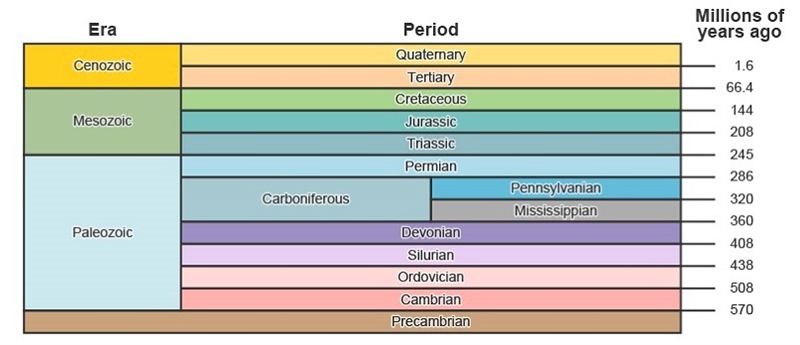 HELP!! Study the diagram of the geologic time scale. Which method is most likely used-example-1