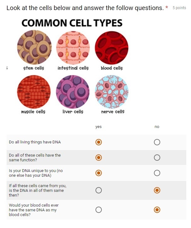 Just need someone to check this ASAP please! Is it right?-example-1