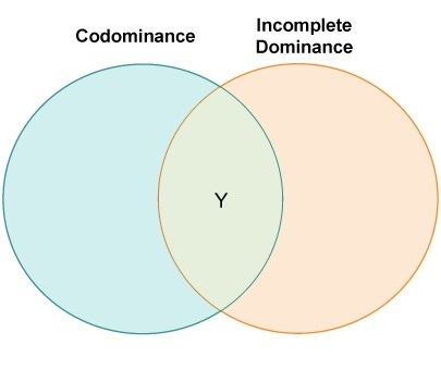 Clarence made a diagram to compare codominance and incomplete dominance. Which label-example-1