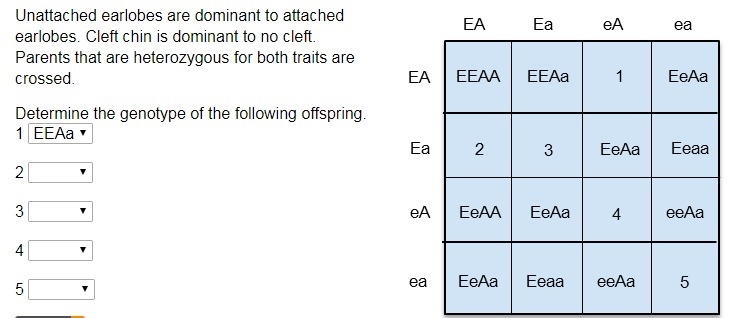 Please answer this question in this picture.-example-1