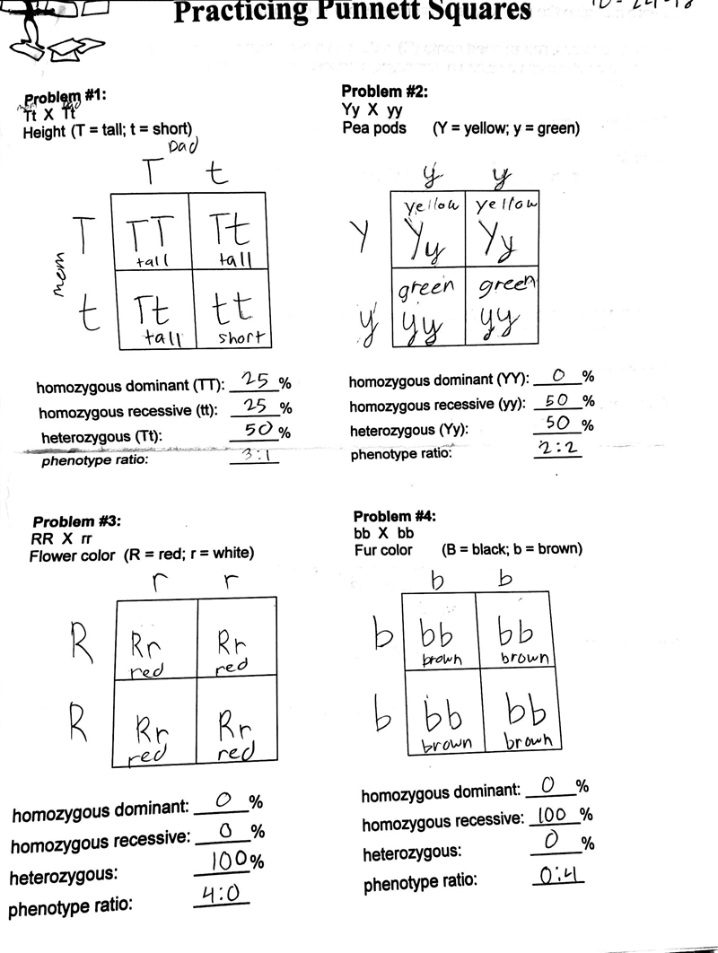 Can you check if it was right and answer it if it’s wrong. Thanks 13 POINTS!!!-example-1