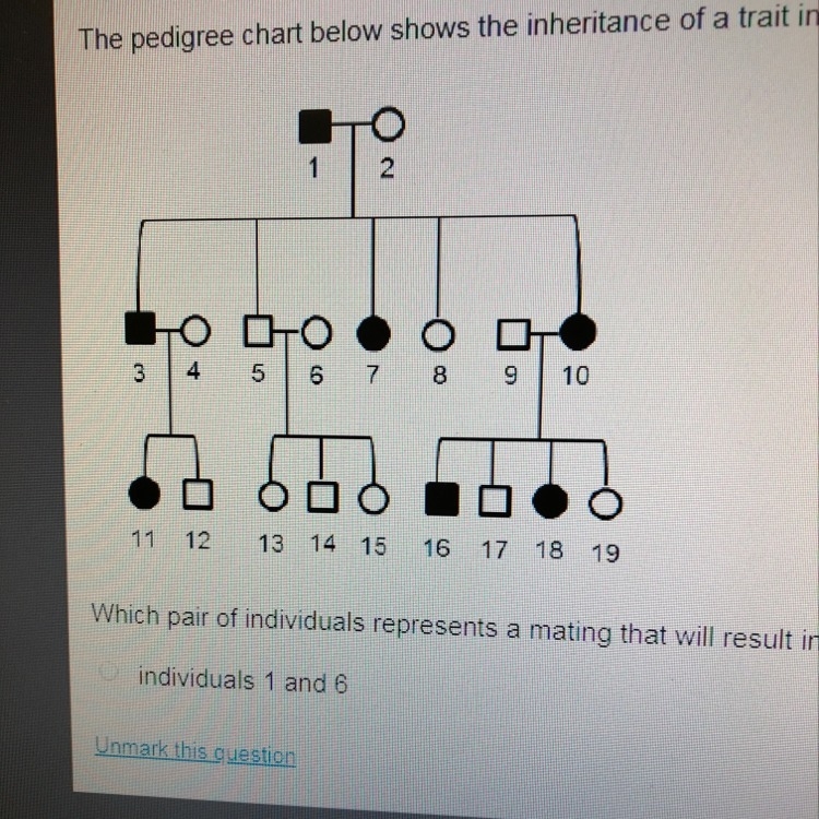 The pedigree chart below shows the inheritance of a trait in a family of cats. Which-example-1