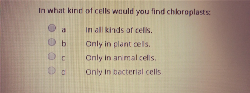 In what kind of cells would you find chloroplasts-example-1