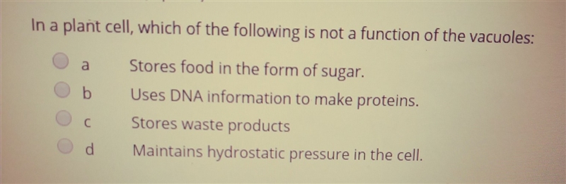 In a plant cell which of the following is not a function of the vacuoles-example-1