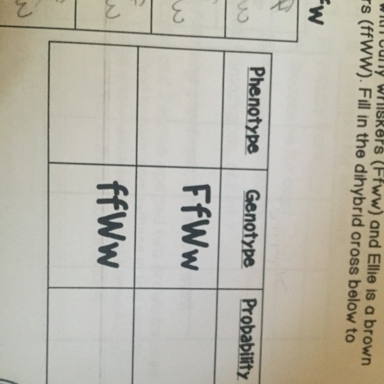 What’s the phenotype and probability-example-1